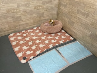 room01