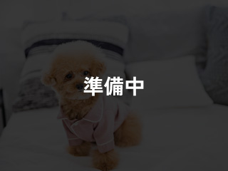 準備中